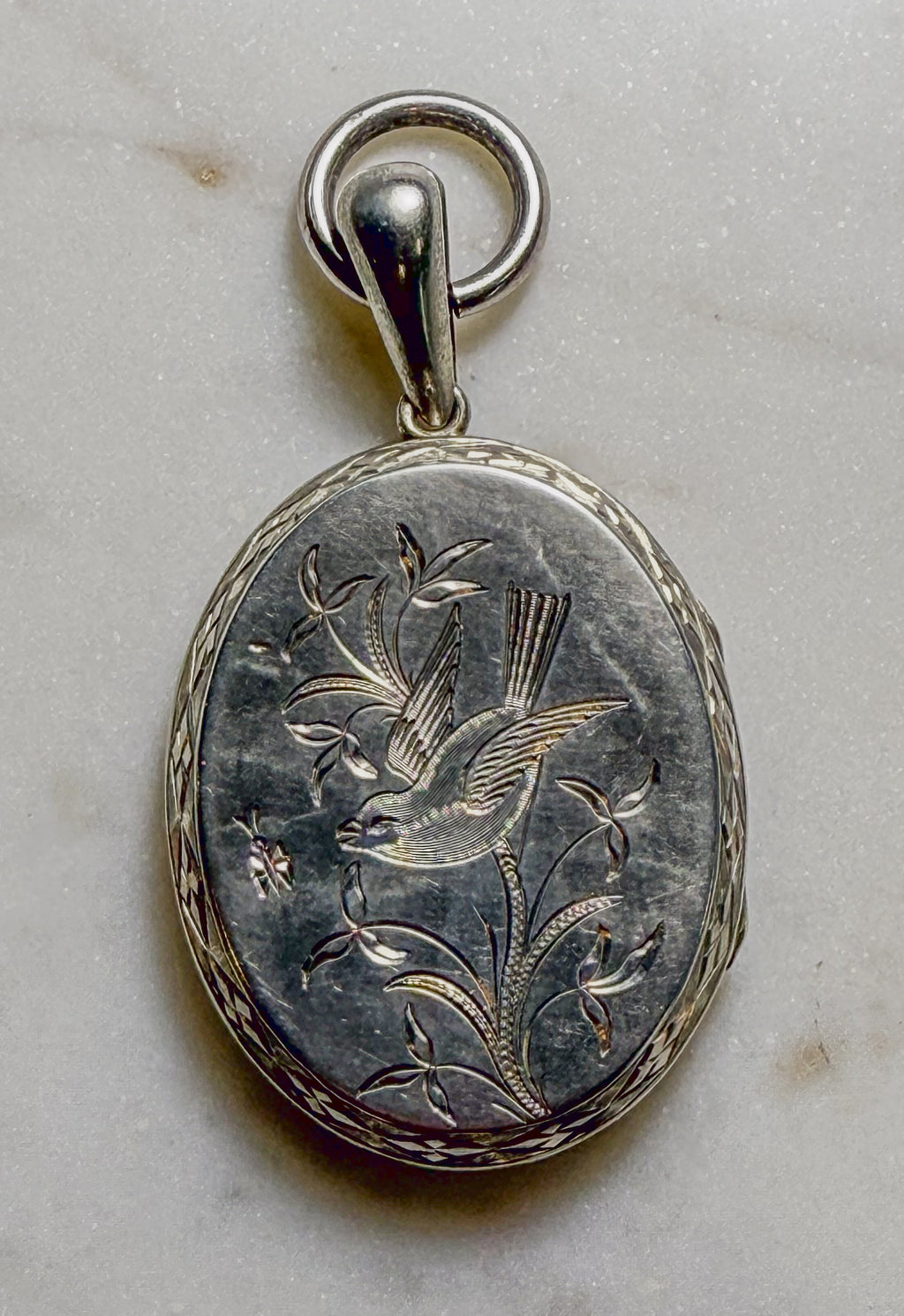 Lovely Swallow Locket